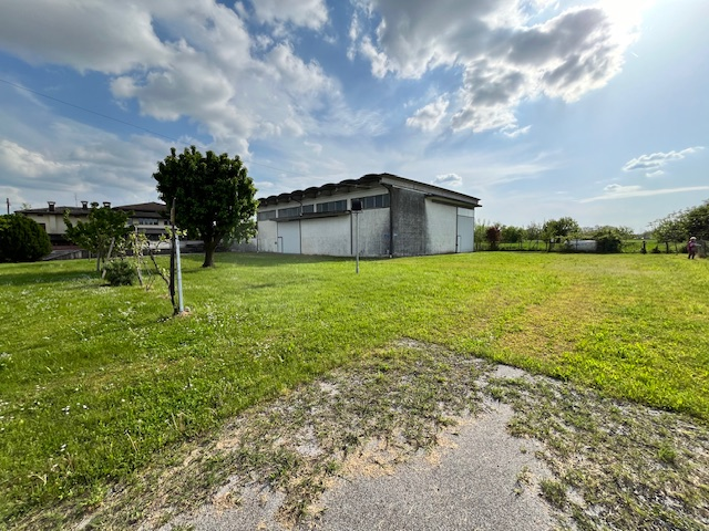 immagine annuncio 3 di 8