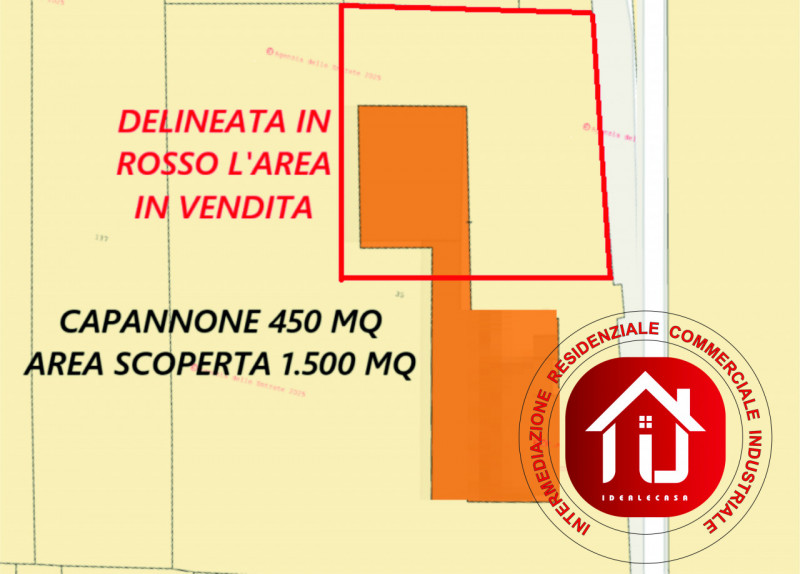 immagine annuncio 5 di 8