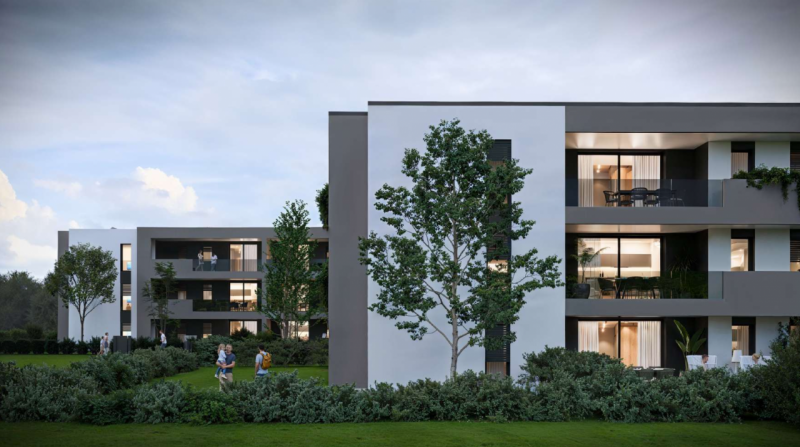 immagine annuncio 2 di 10