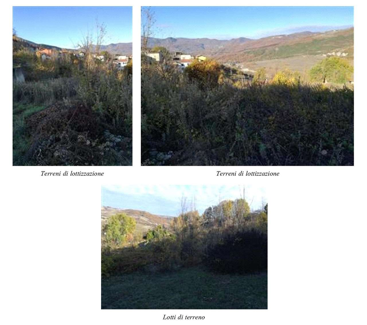 immagine annuncio 3 di 4