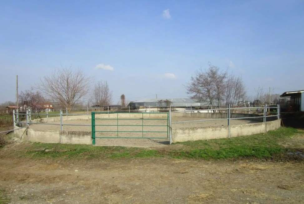 immagine annuncio 6 di 10