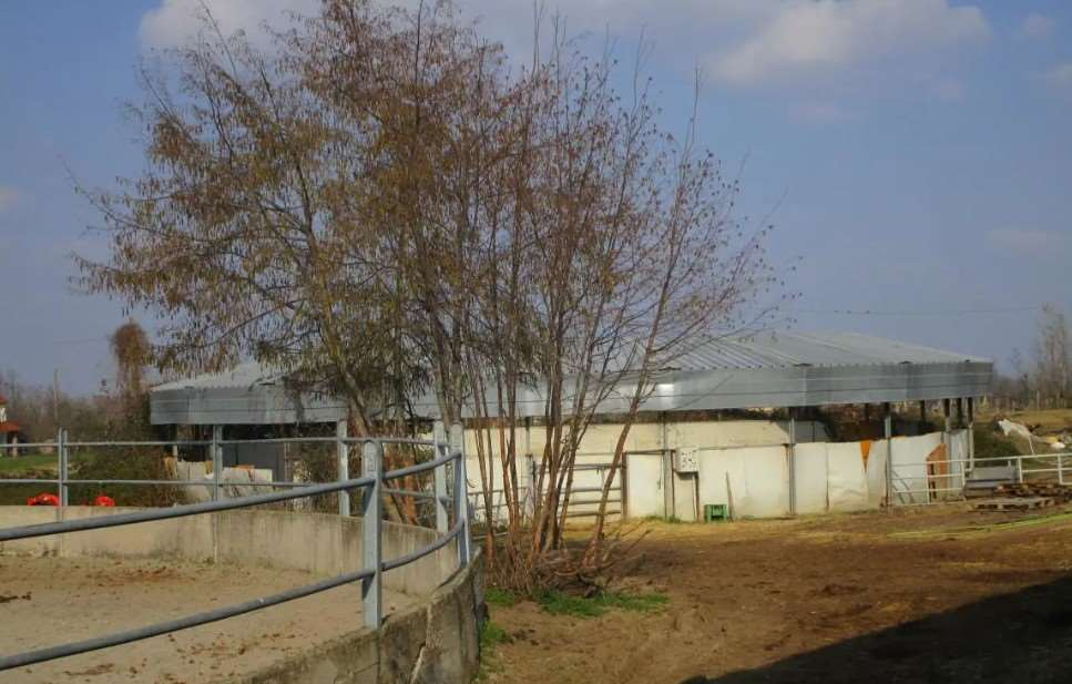 immagine annuncio 7 di 10