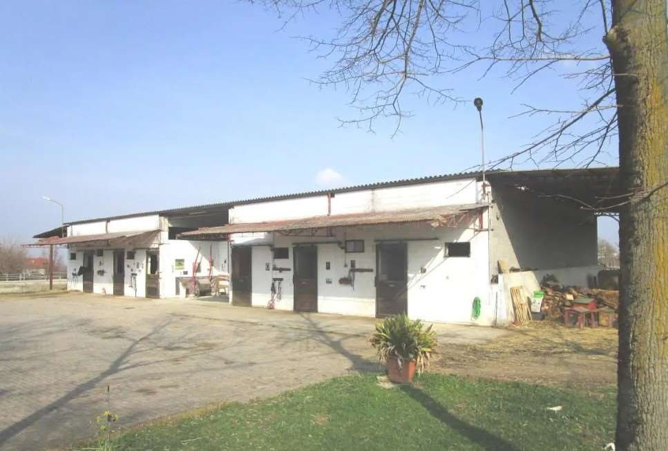 immagine annuncio 8 di 10