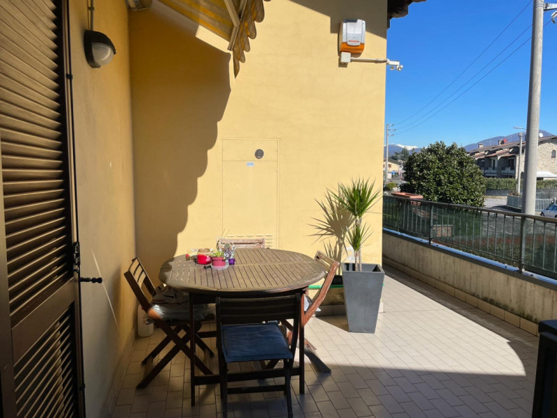 immagine annuncio 2 di 6