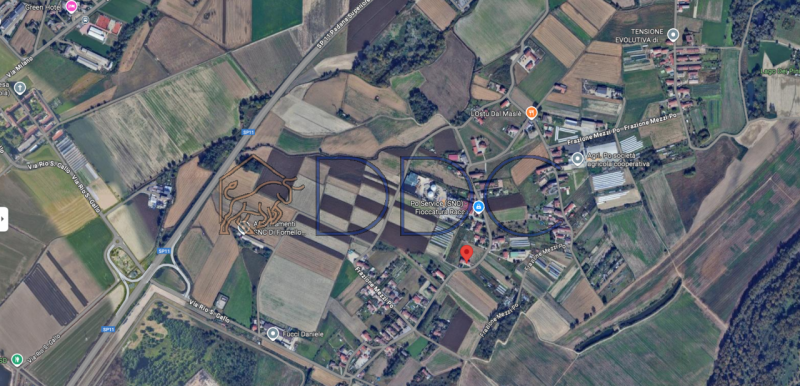 immagine annuncio 6 di 7