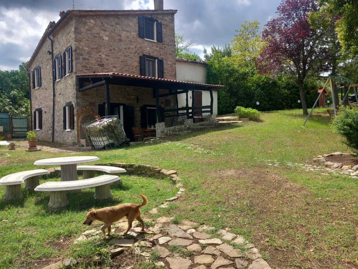 immagine annuncio 2 di 10