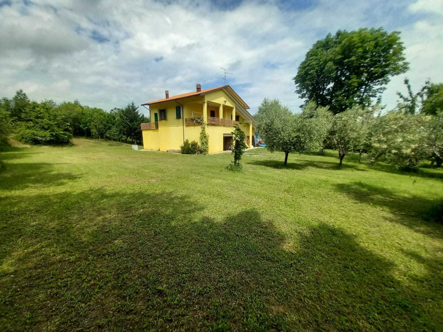 immagine annuncio 4 di 10