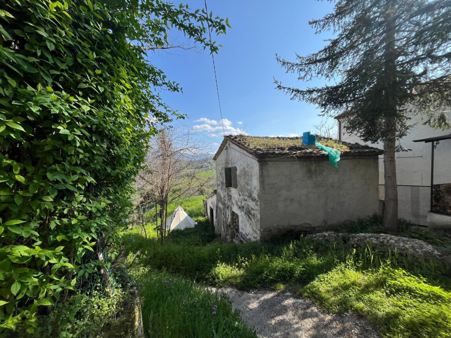 immagine annuncio 4 di 10