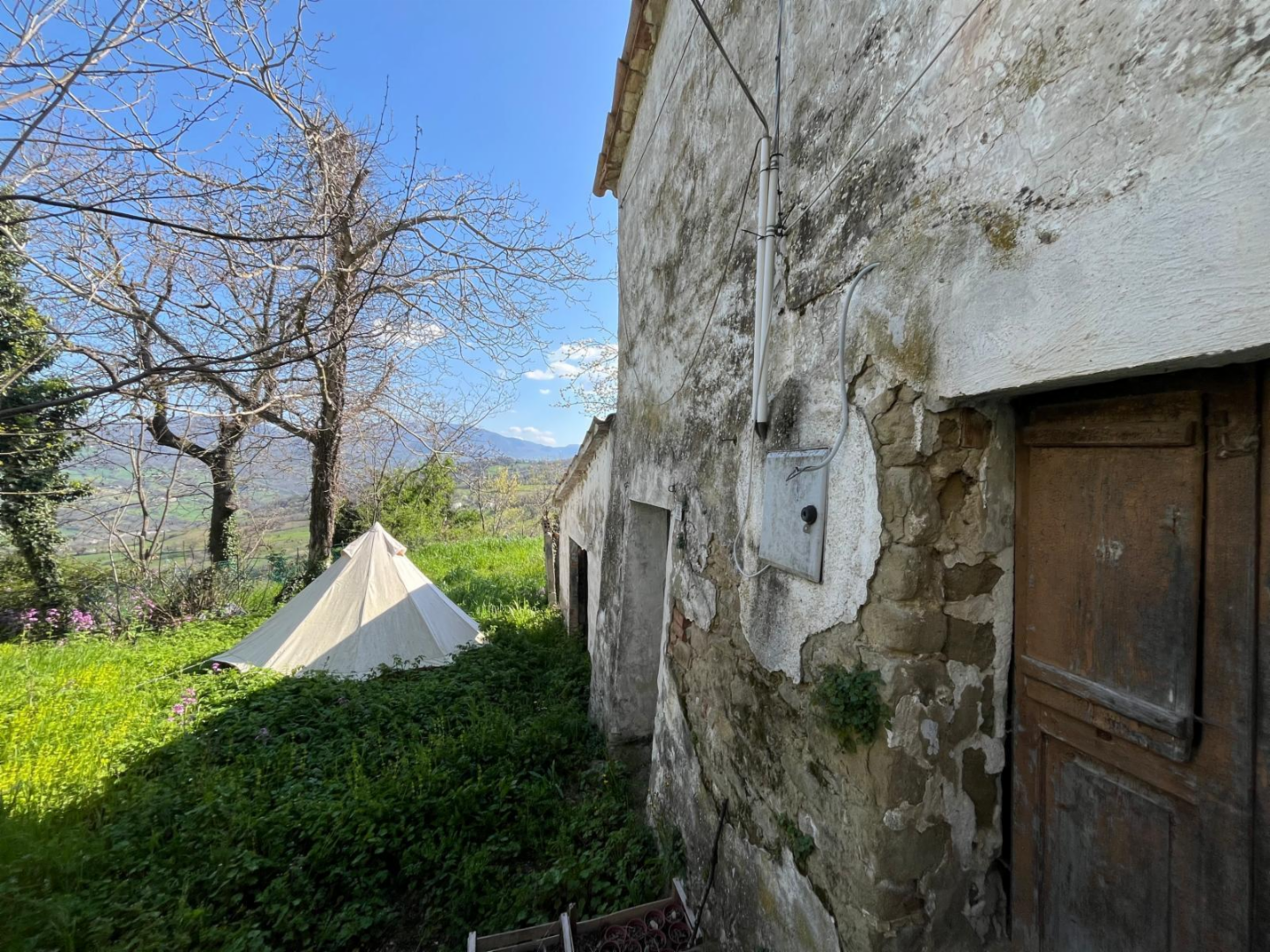 immagine annuncio 3 di 10