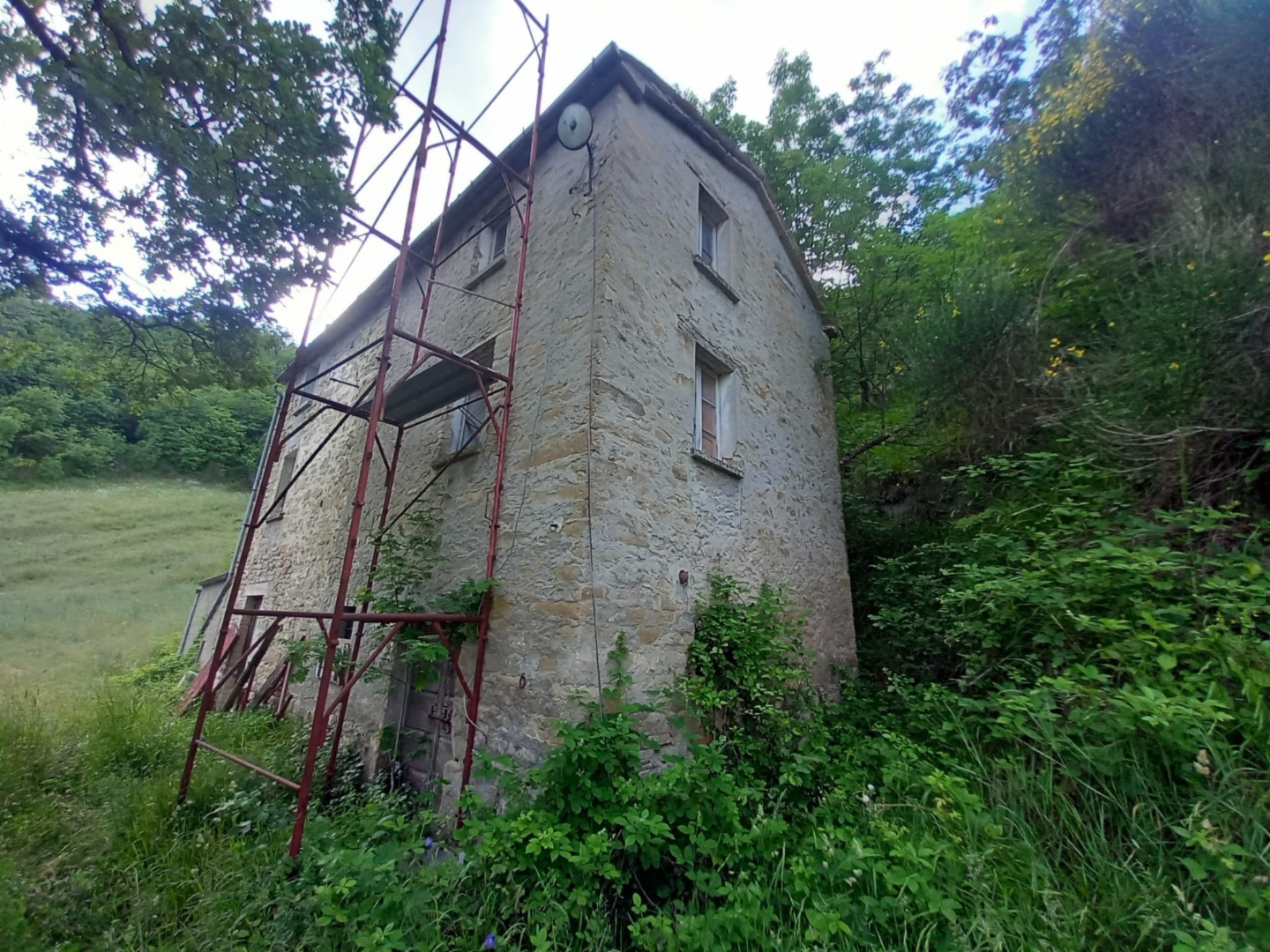 immagine annuncio 1 di 10