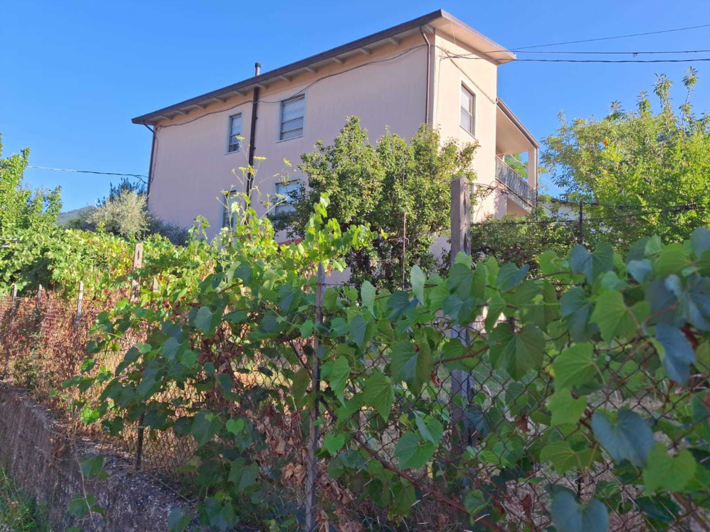 immagine annuncio 3 di 10