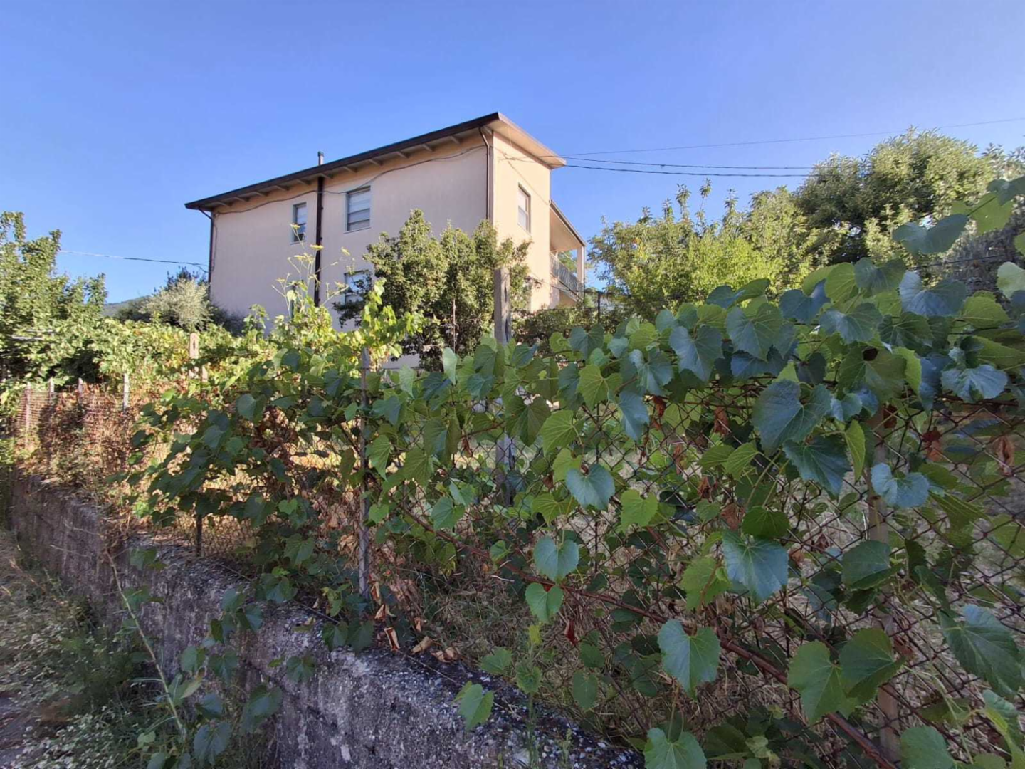 immagine annuncio 6 di 10