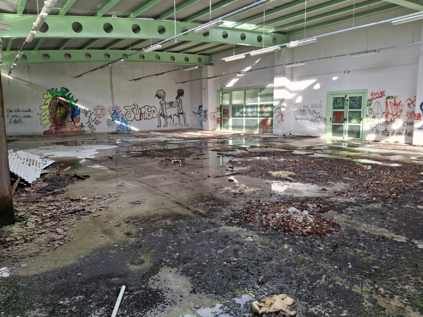 immagine annuncio 4 di 9