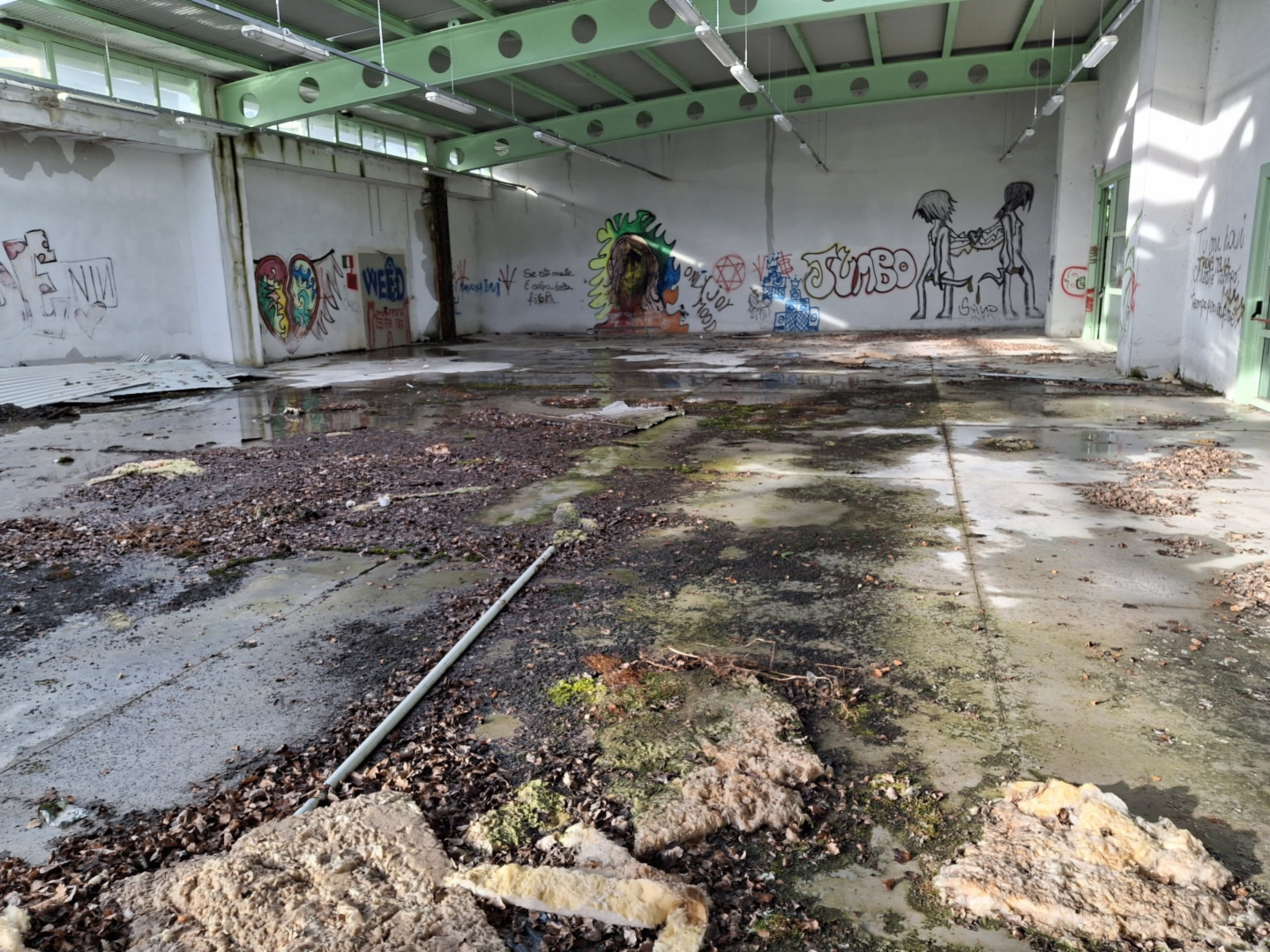 immagine annuncio 7 di 9