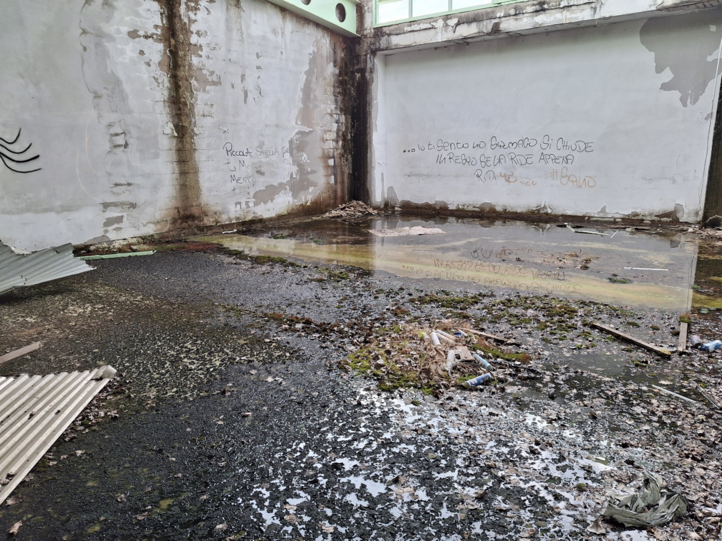 immagine annuncio 8 di 9