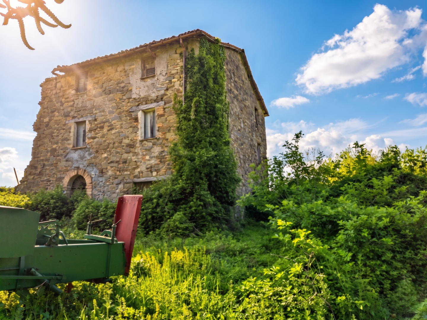 immagine annuncio 6 di 10