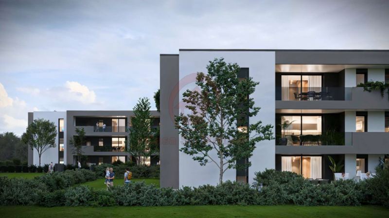 immagine annuncio 7 di 9