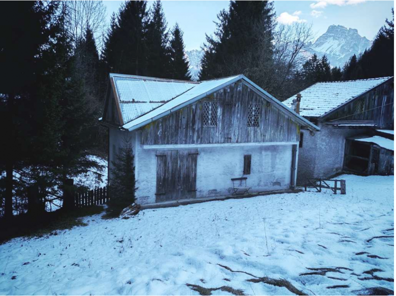 immagine annuncio 1 di 4