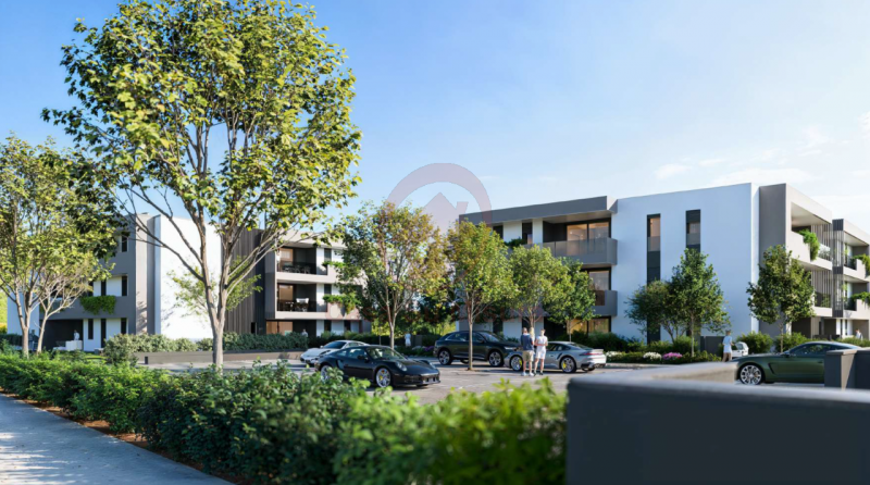 immagine annuncio 3 di 6