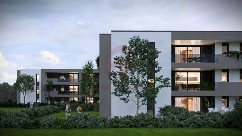 immagine annuncio 4 di 6