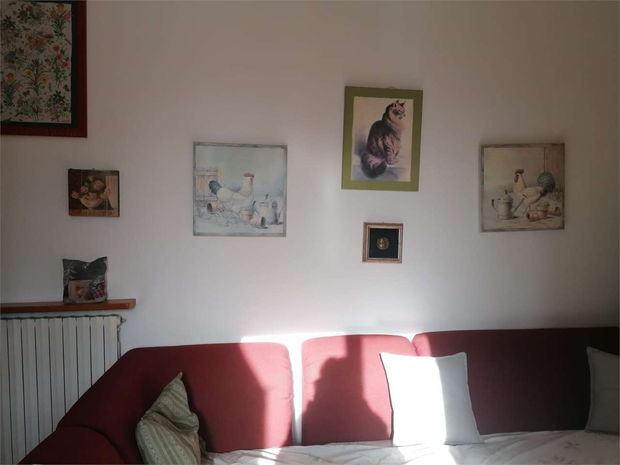 immagine annuncio 7 di 10