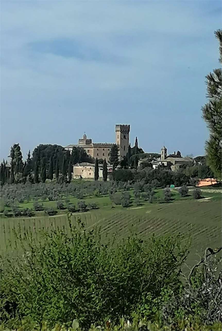 immagine annuncio 4 di 7