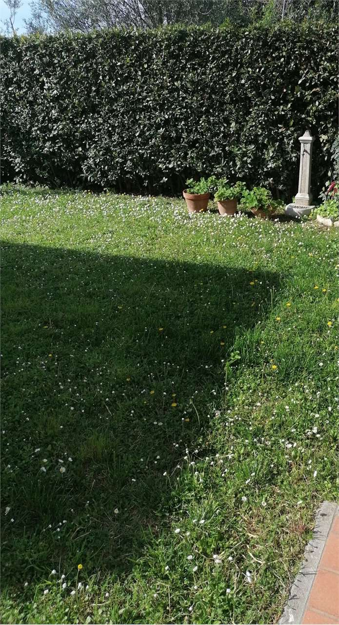 immagine annuncio 3 di 7