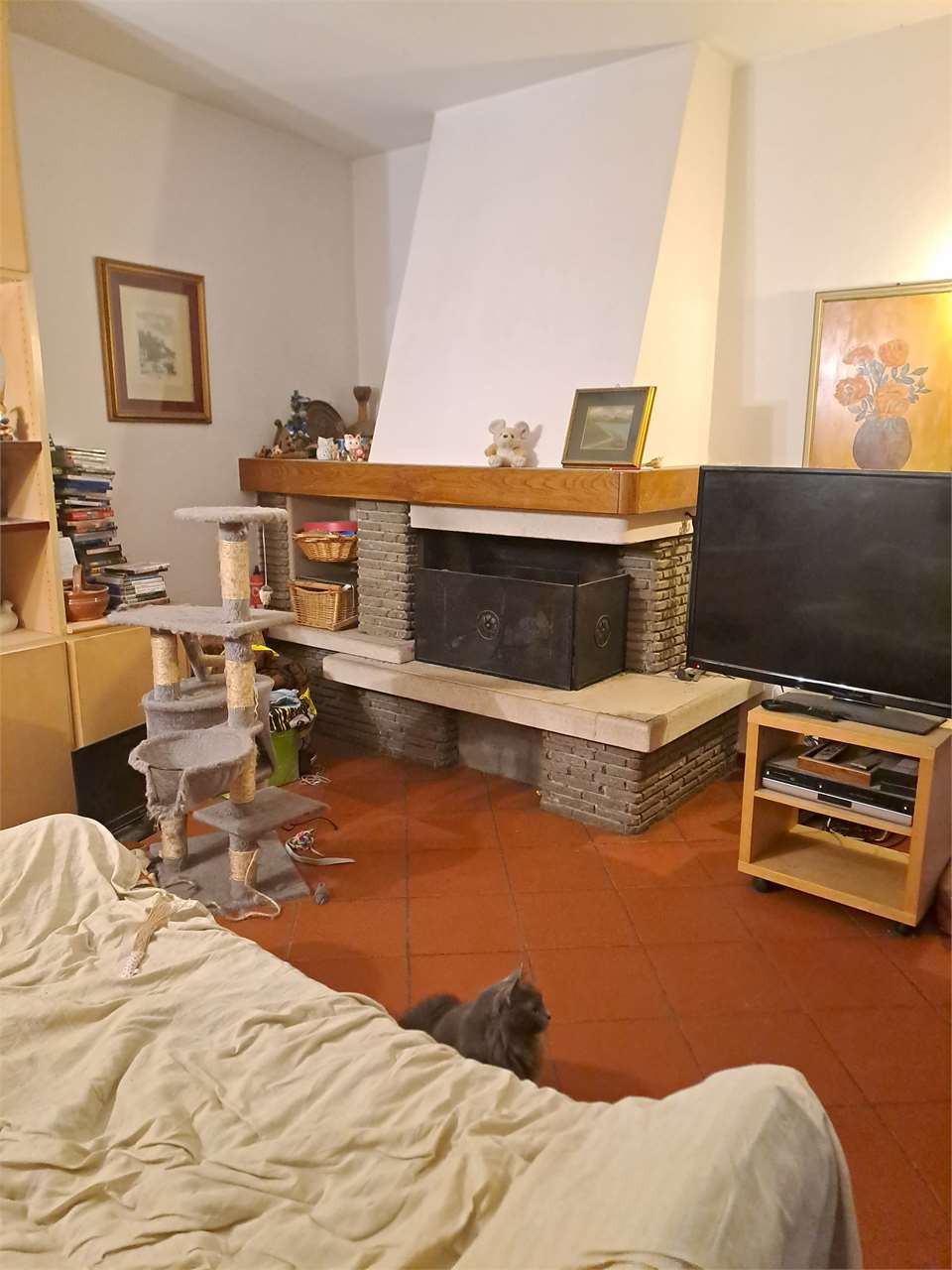 immagine annuncio 7 di 8