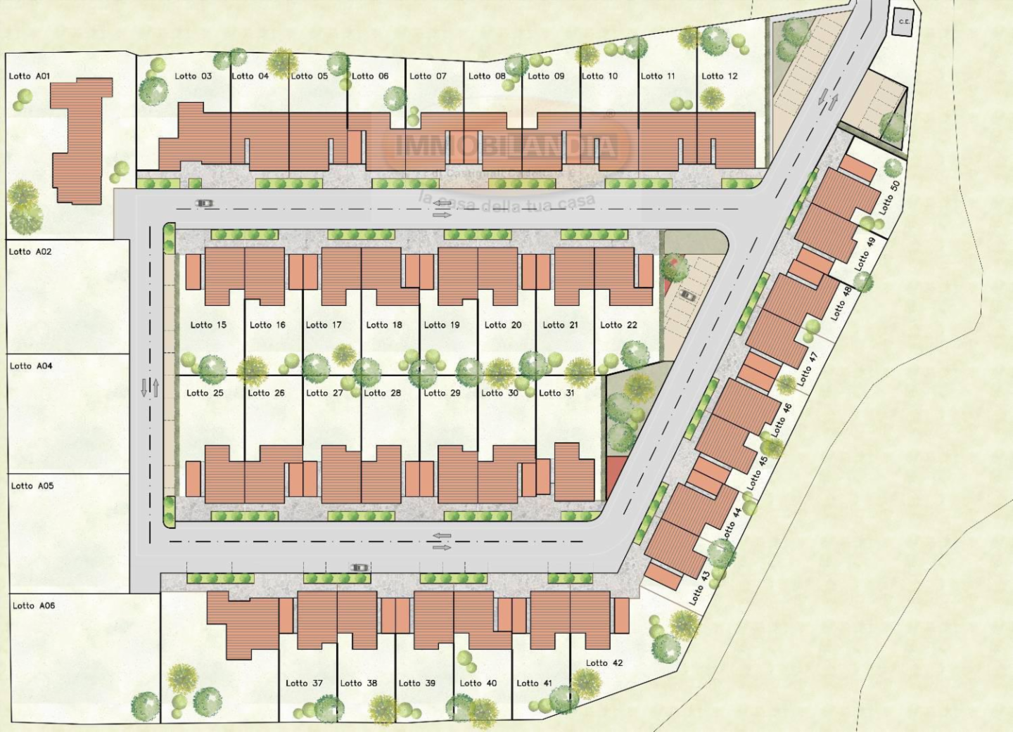 immagine annuncio 2 di 10