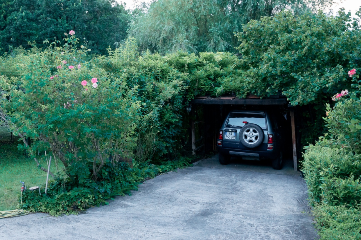 immagine annuncio 6 di 10