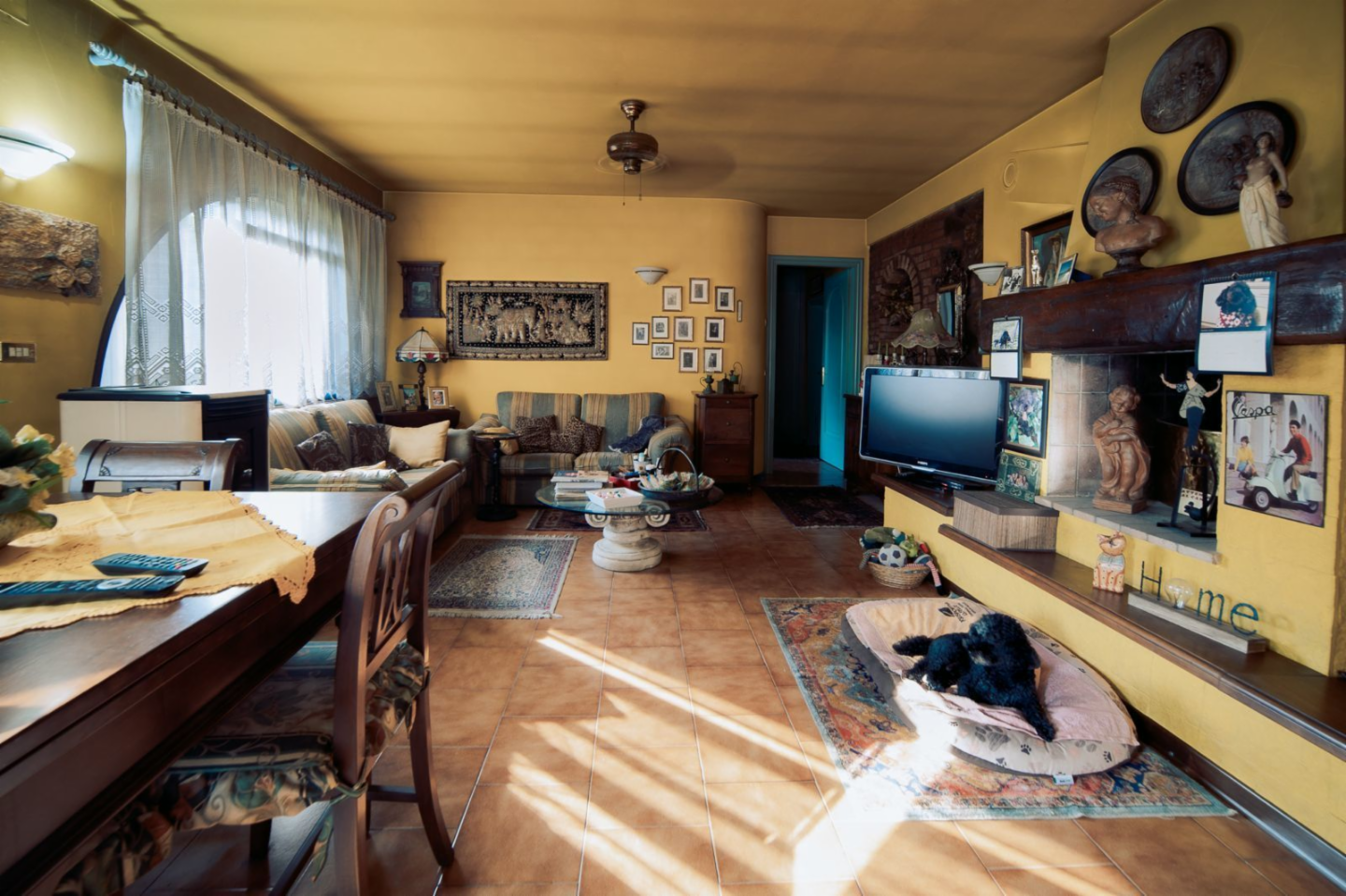 immagine annuncio 8 di 10