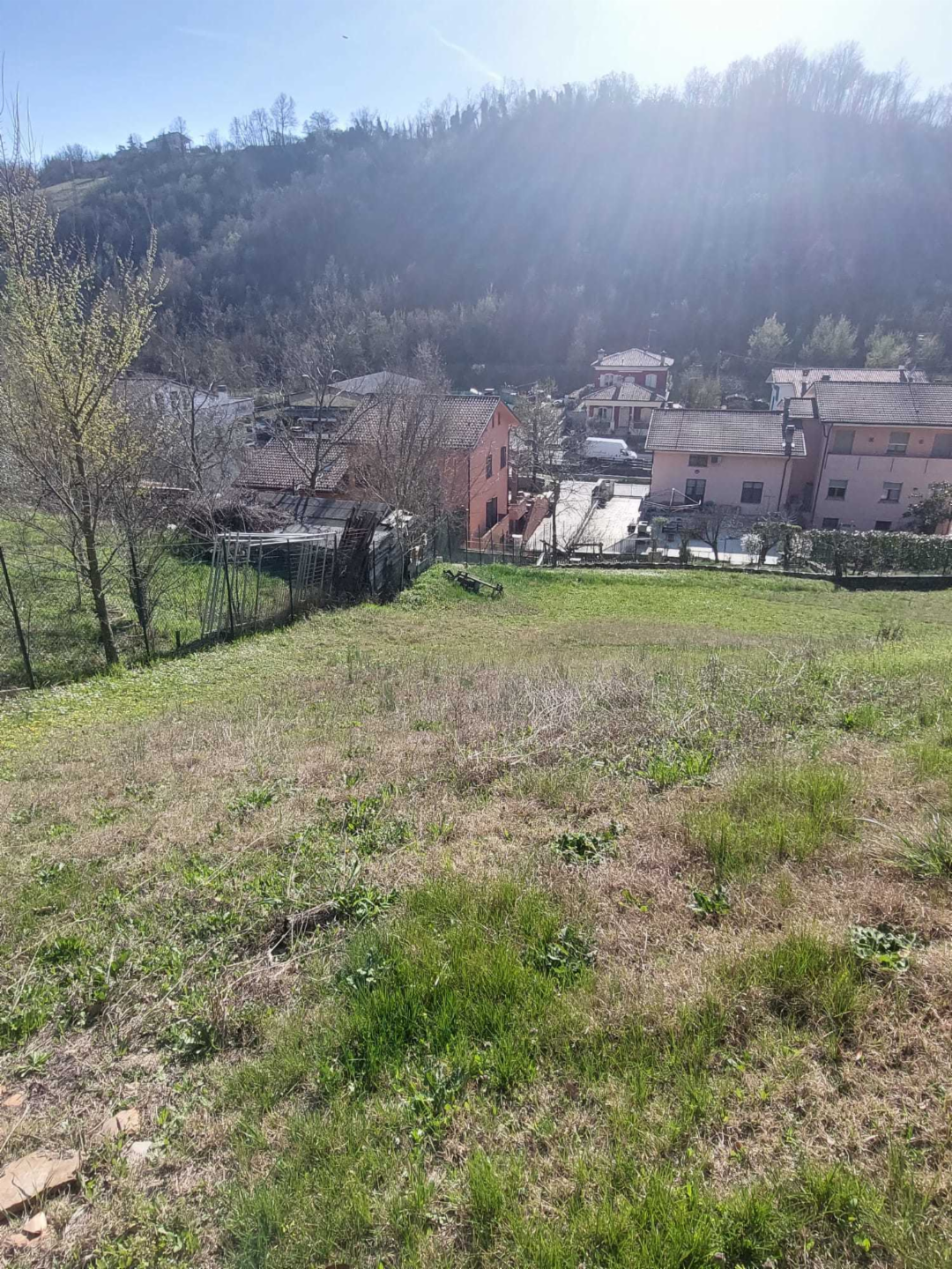 immagine annuncio 7 di 10