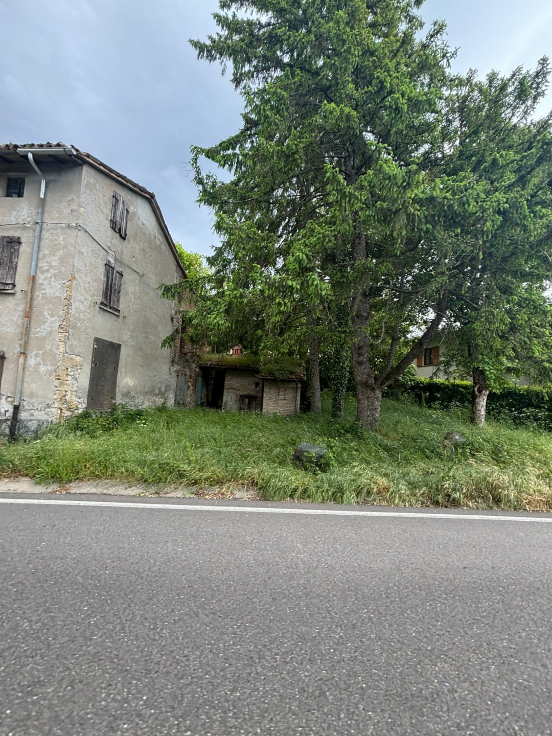 immagine annuncio 3 di 4