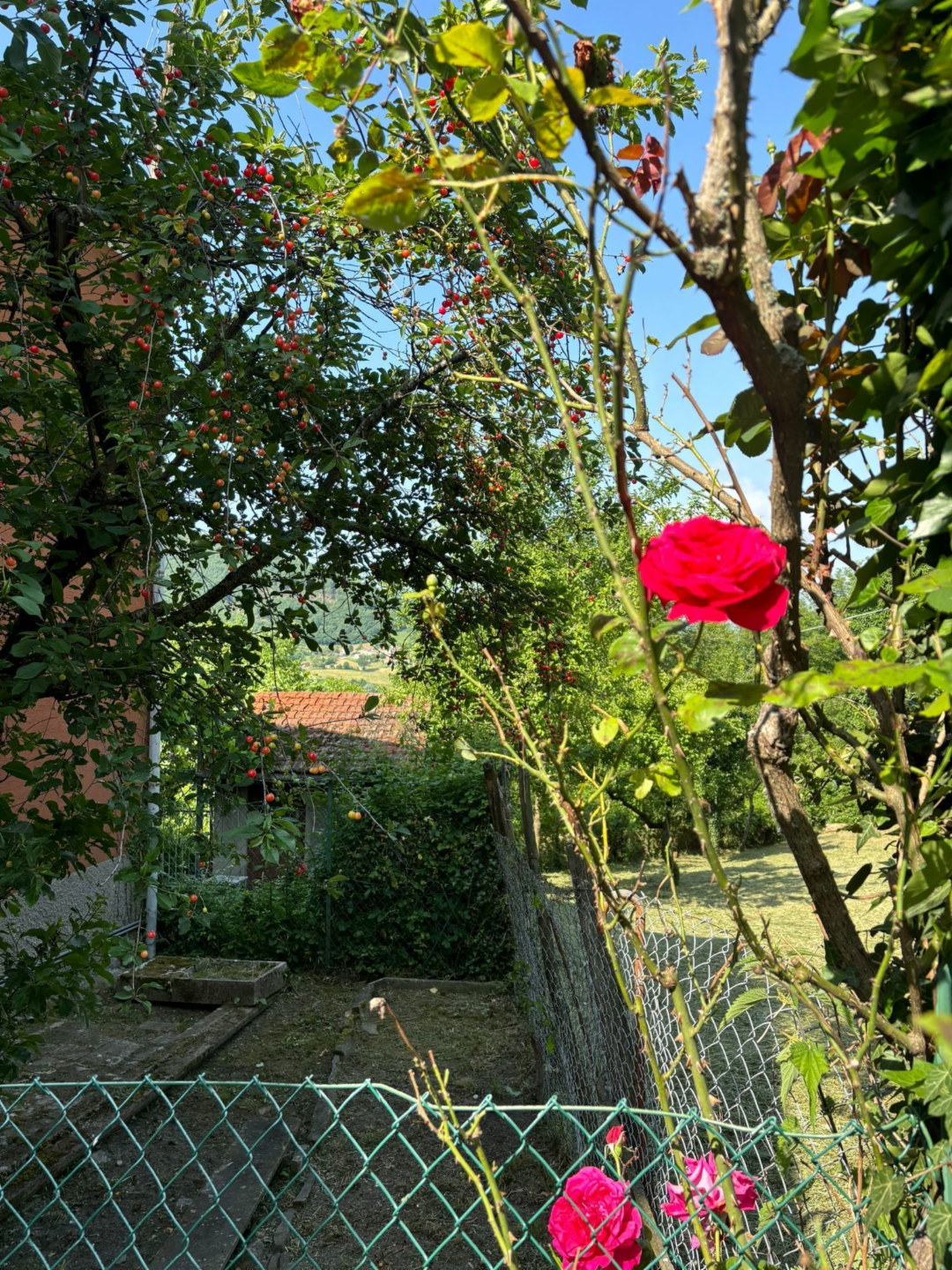 immagine annuncio 2 di 10