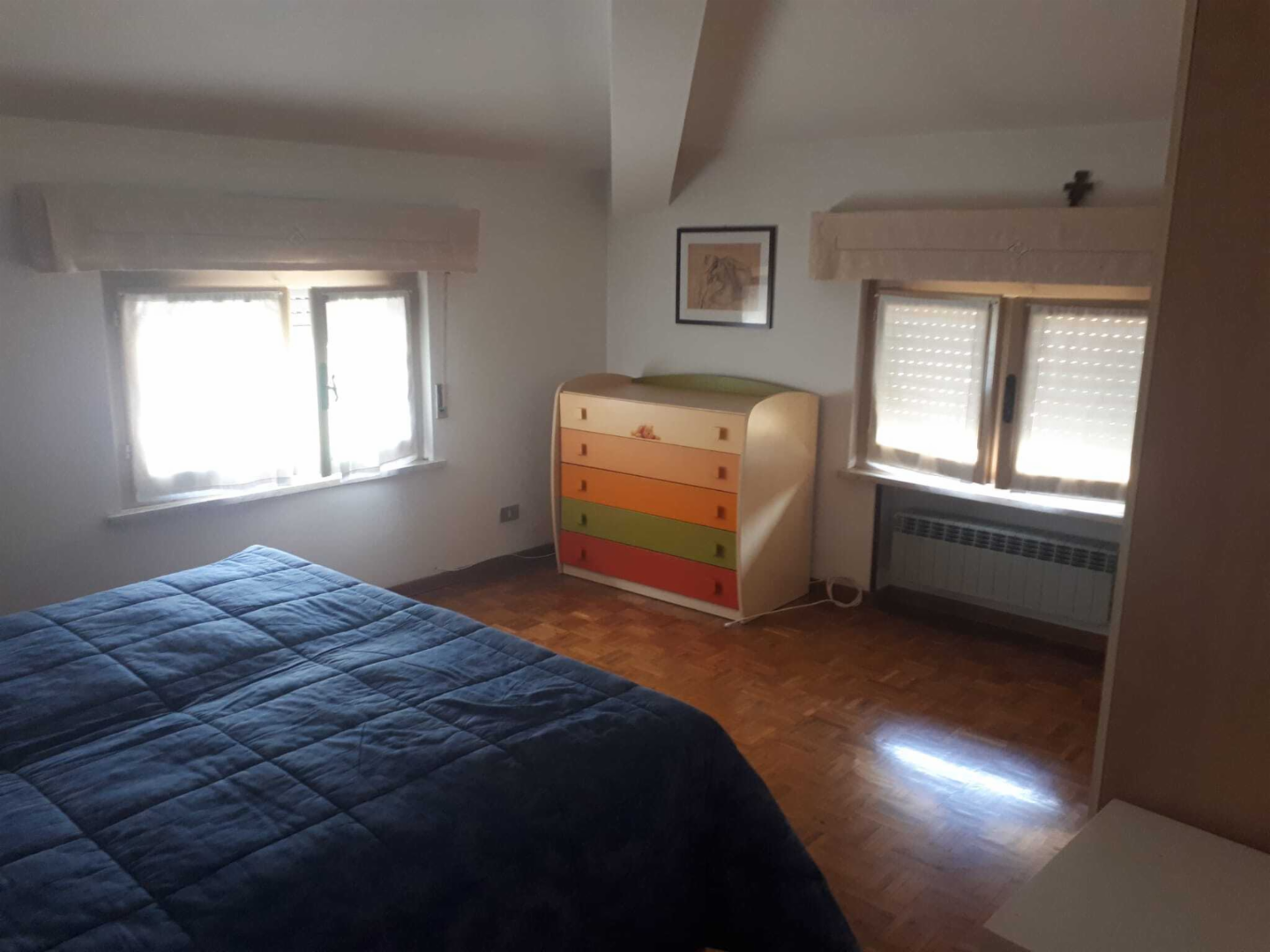 immagine annuncio 4 di 7