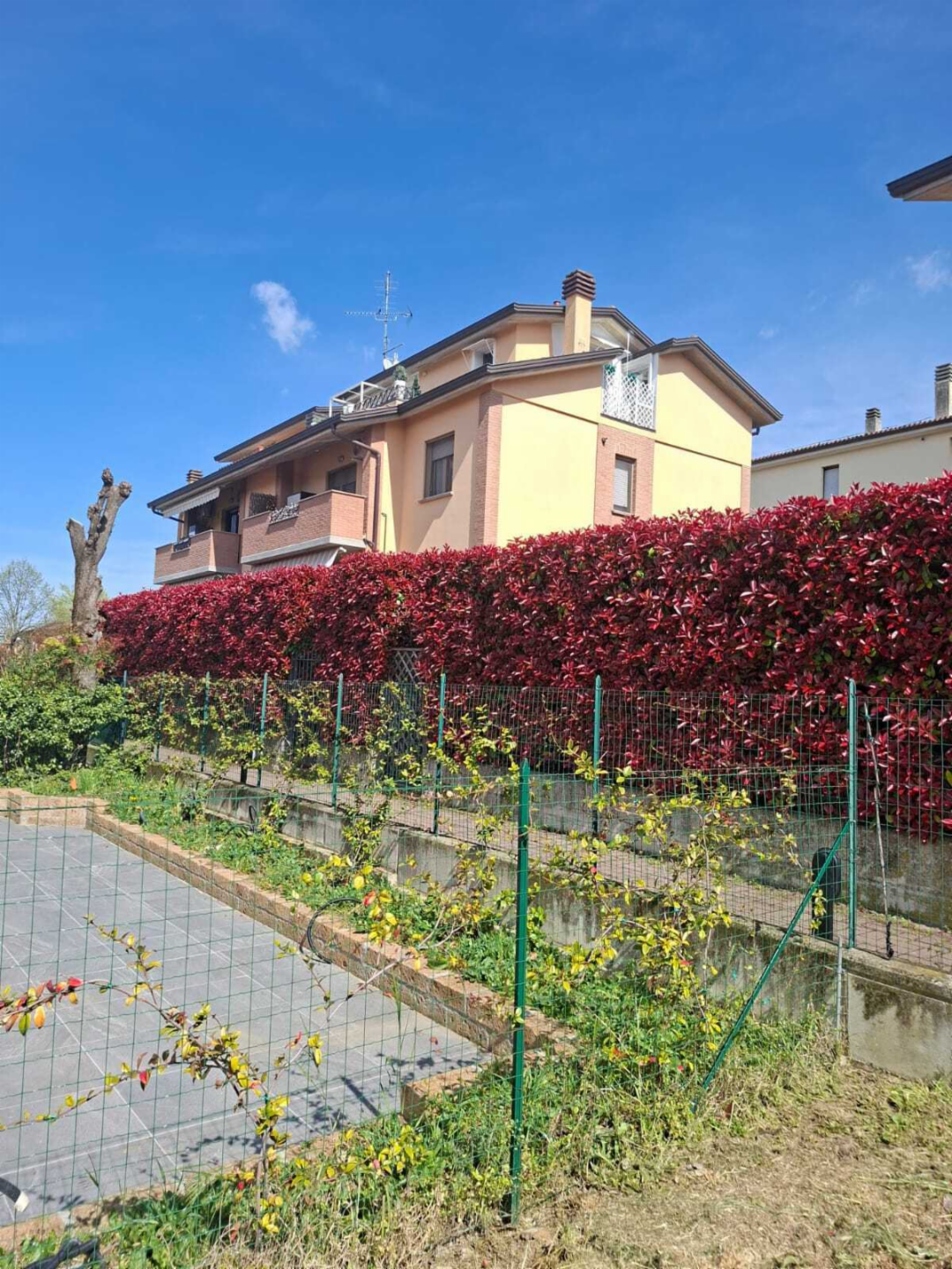 immagine annuncio 1 di 10