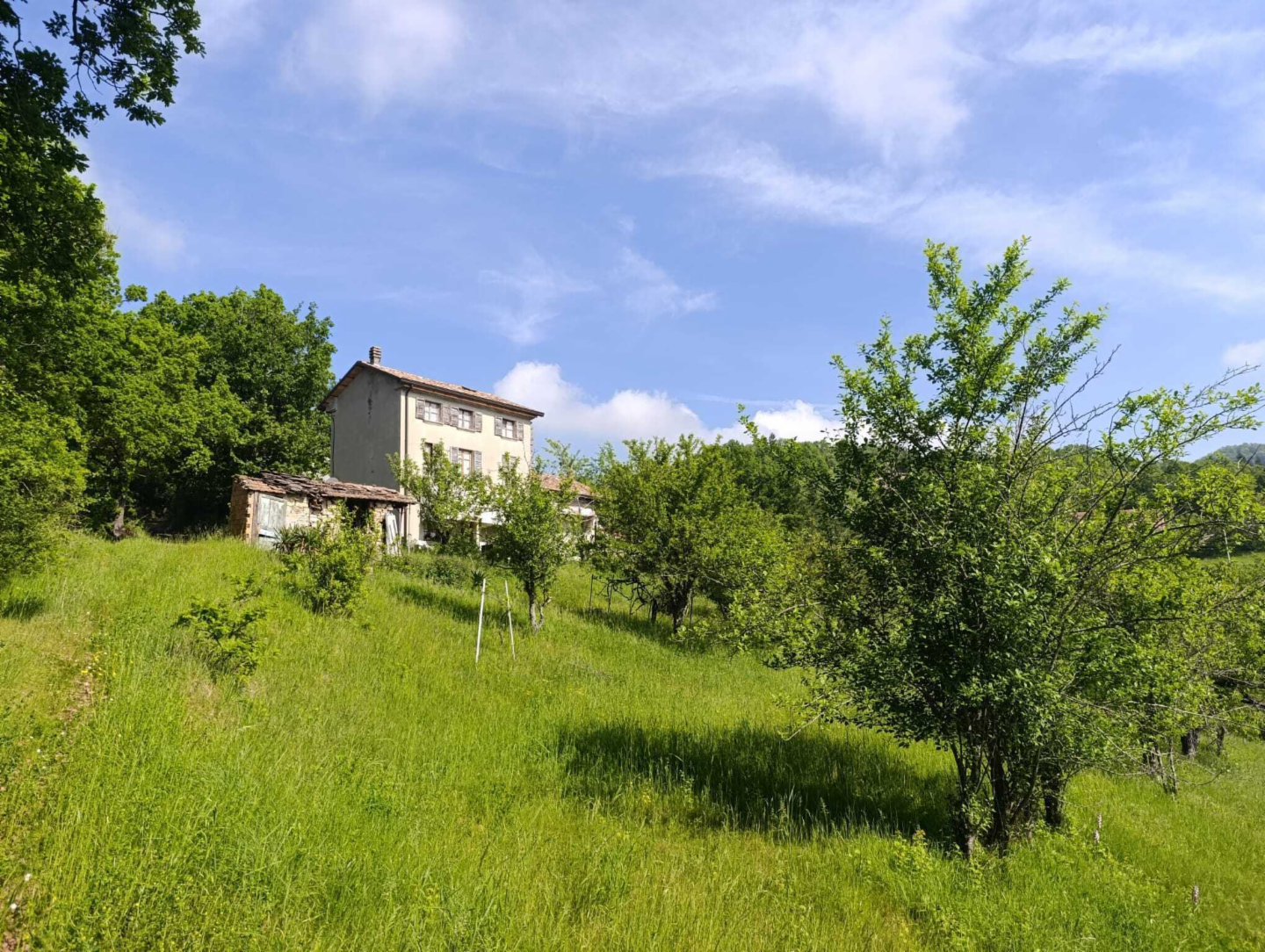 immagine annuncio 4 di 10