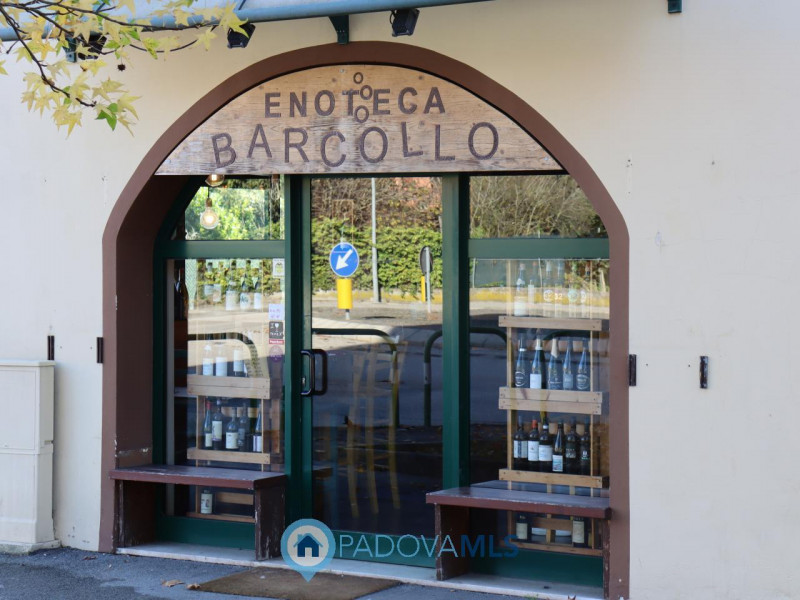 immagine annuncio 4 di 7