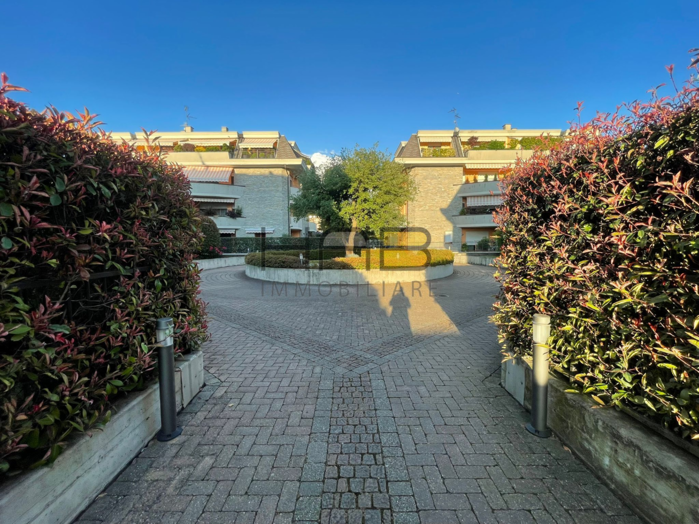 immagine annuncio 2 di 8