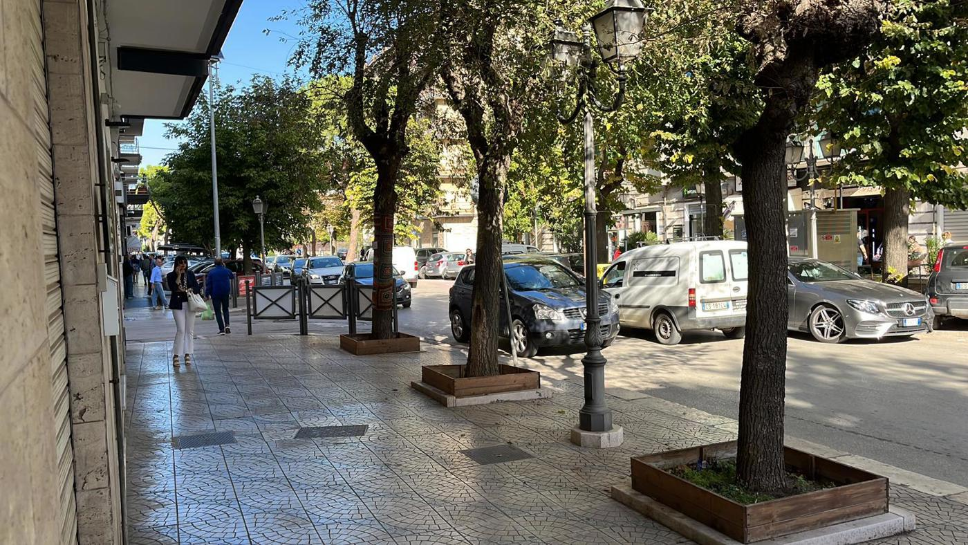 immagine annuncio 6 di 9