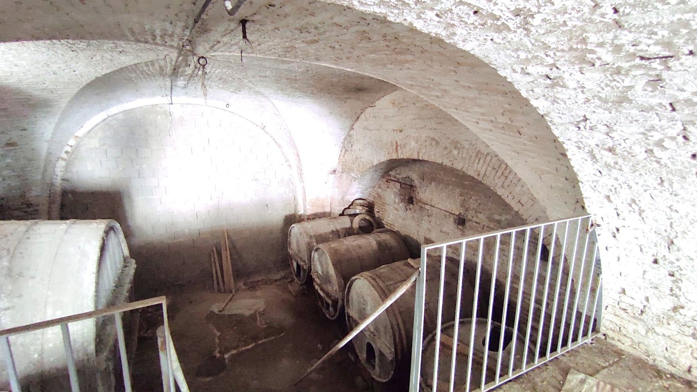 immagine annuncio 9 di 10