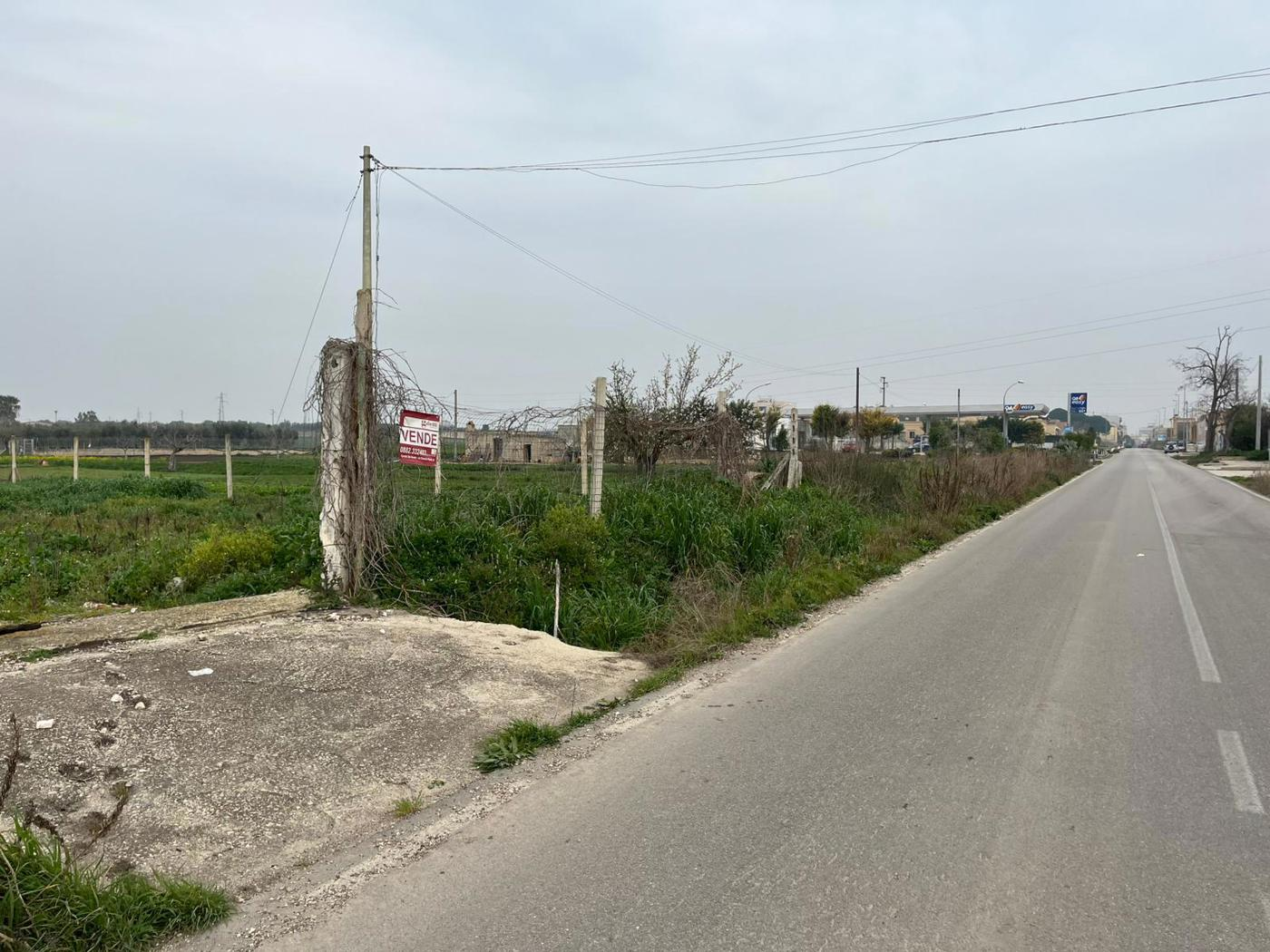 immagine annuncio 1 di 4