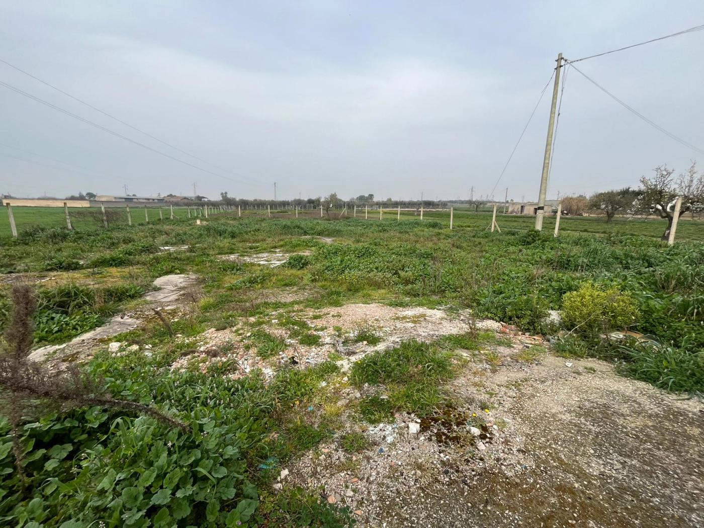 immagine annuncio 3 di 4