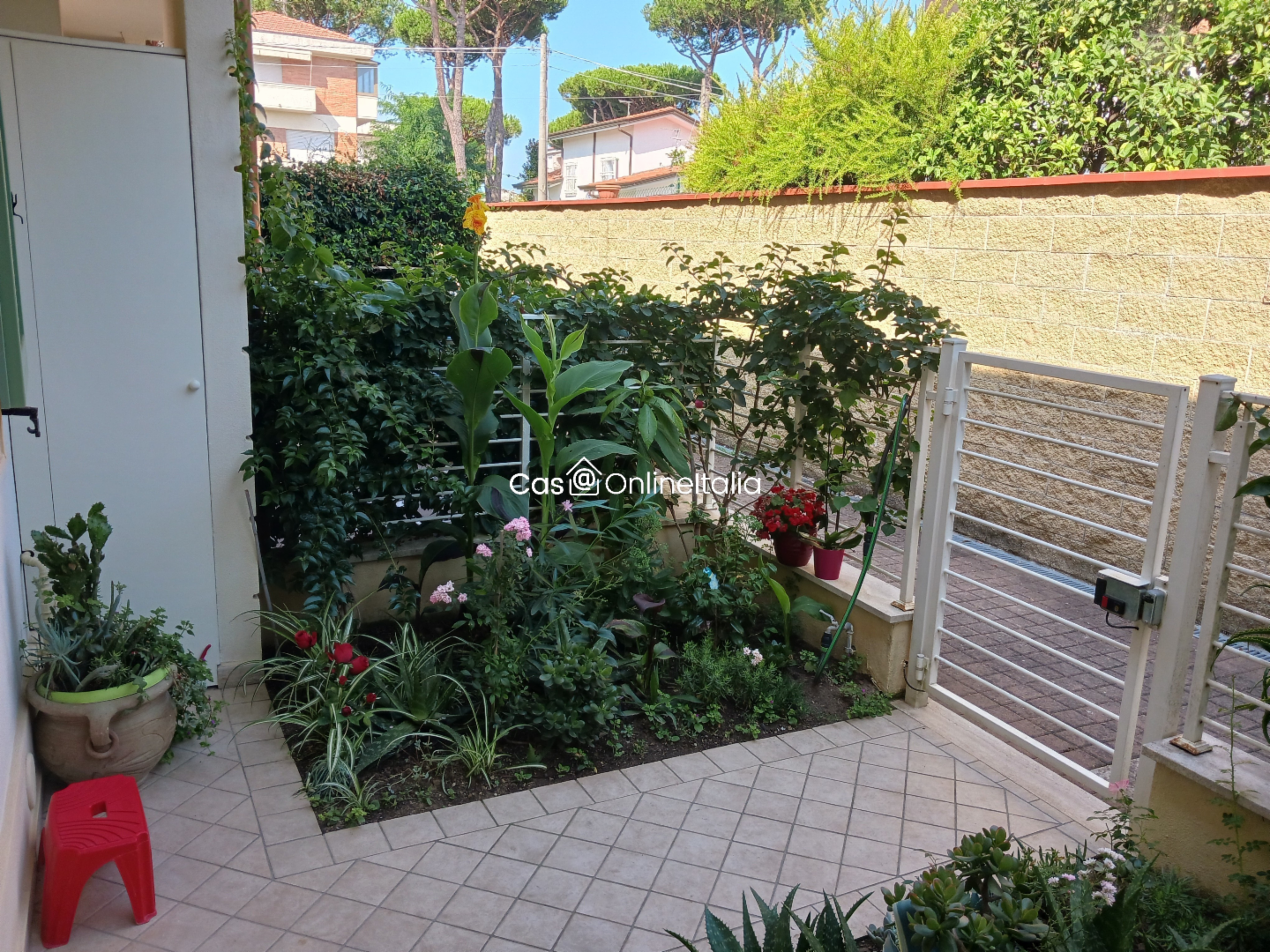 immagine annuncio 1 di 10