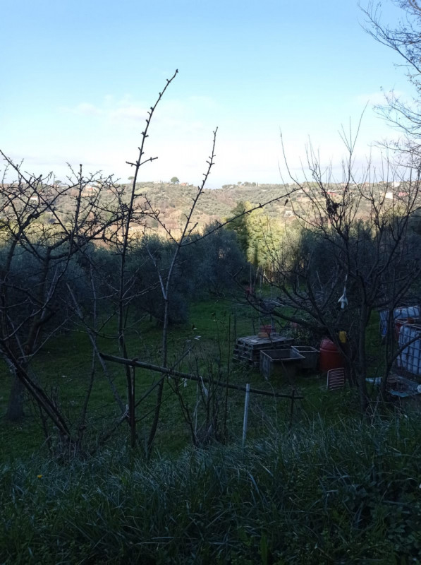 immagine annuncio 6 di 10