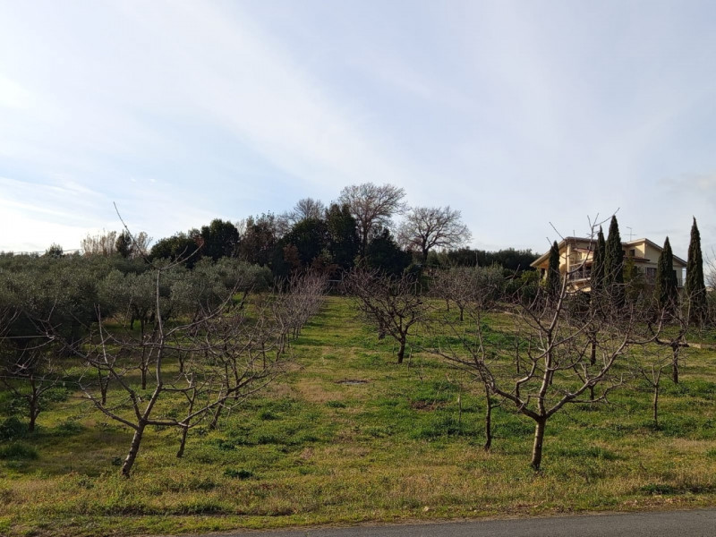 immagine annuncio 3 di 10
