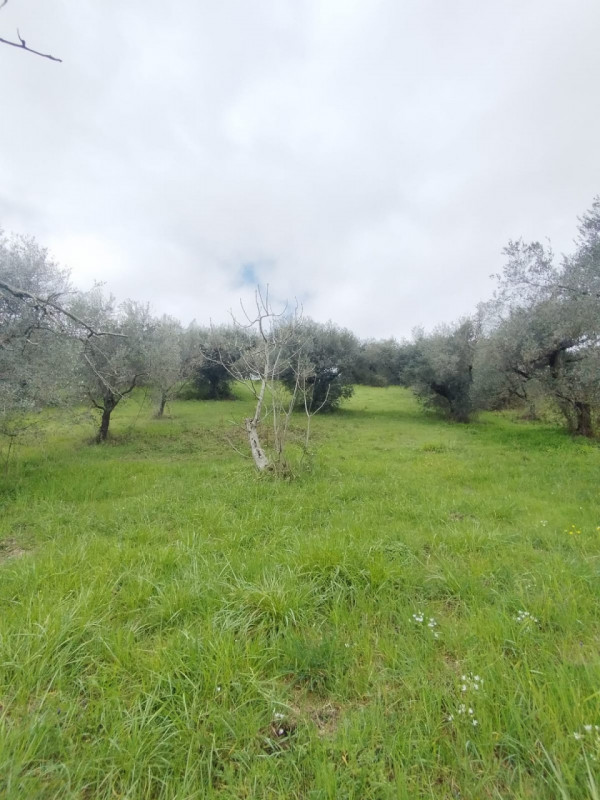 immagine annuncio 8 di 9