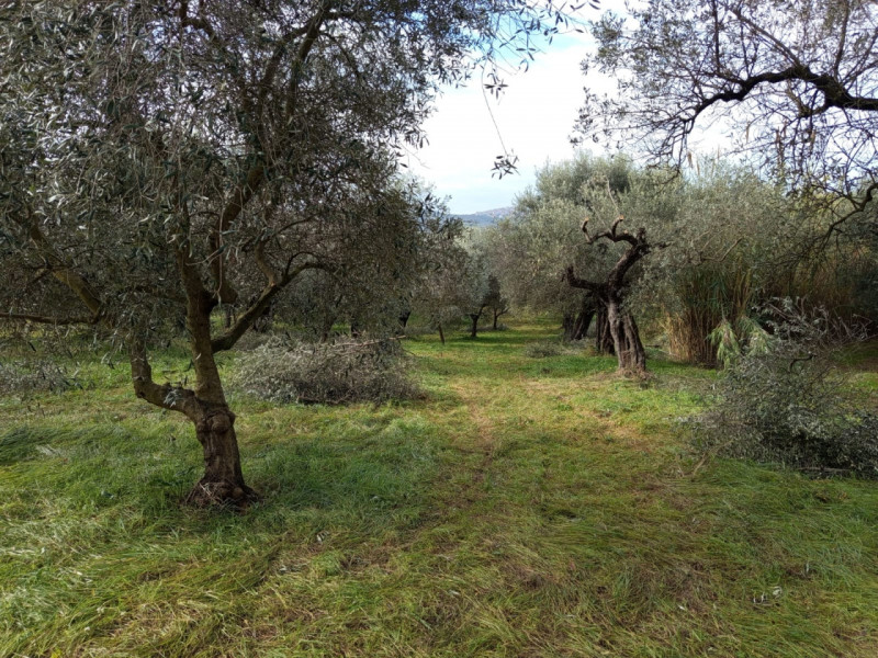 immagine annuncio 7 di 9