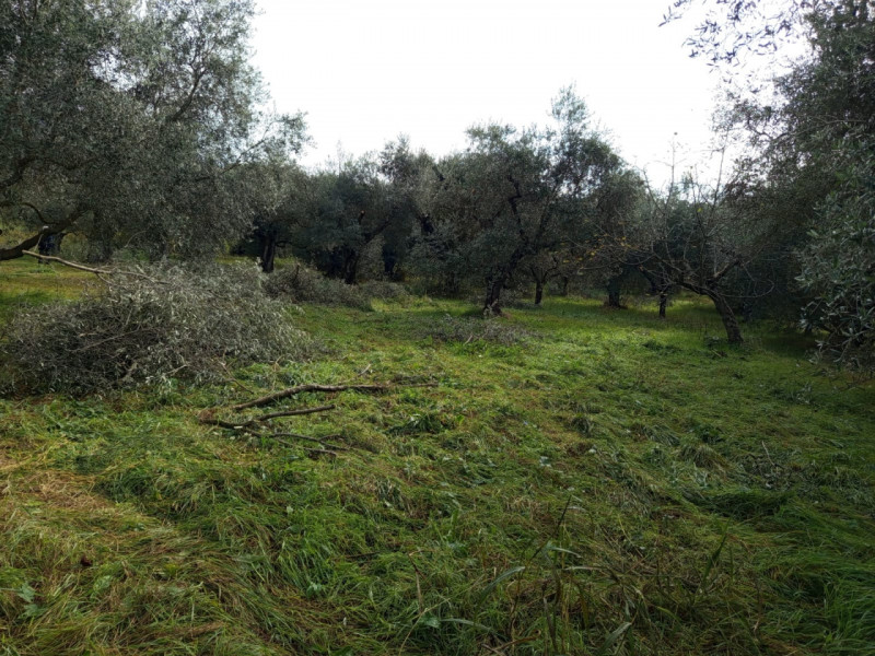 immagine annuncio 6 di 9