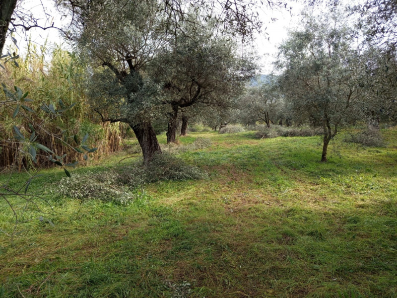 immagine annuncio 4 di 9